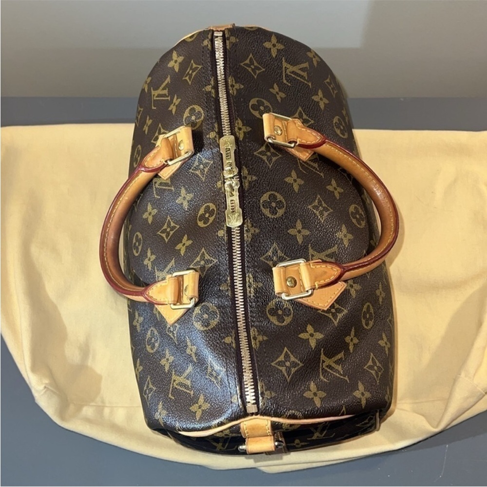 Louis Vuitton Women’s Brown Satchel